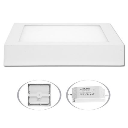 LED Stropní svítidlo RAFA LED/18W/230V 4100K