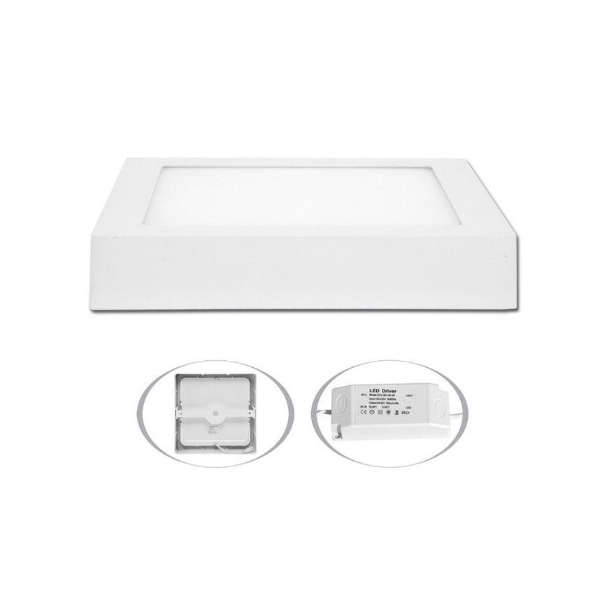 LED Stropní svítidlo RAFA LED/18W/230V 4100K