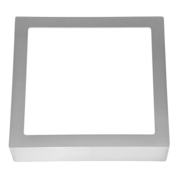 LED Stropní svítidlo RAFA LED/25W/230V 2700K