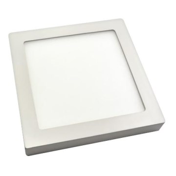 LED stropní svítidlo RIKI-P LED SMD/18W/230V 225x225 mm