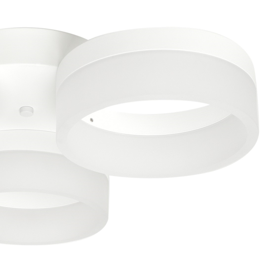 LED Stropní svítidlo RING 3xLED/12W/230V bílé