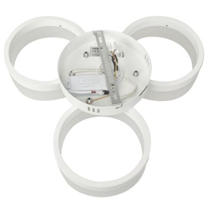 LED Stropní svítidlo RING 3xLED/12W/230V bílé