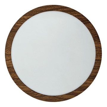 LED Stropní svítidlo RING LED/18W/230V 4200K pr. 21 cm hnědá