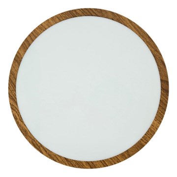 LED Stropní svítidlo RING LED/24W/230V 4200K pr. 28,5 cm hnědá