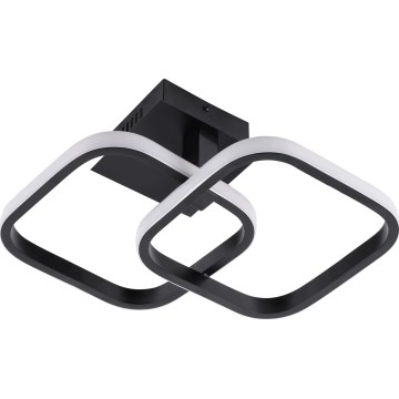 LED Stropní svítidlo ROBERT LED/25W/230V 25x38 cm černá