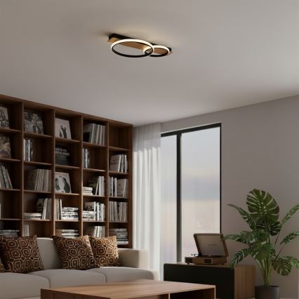 LED Stropní svítidlo ROWENA LED/14W/230V černá/hnědá