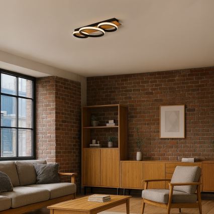 LED Stropní svítidlo ROWENA LED/18W/230V černá/hnědá