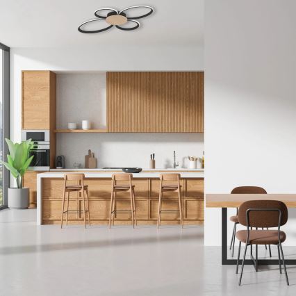 LED Stropní svítidlo SABINA LED/38W/230V kaučukovník
