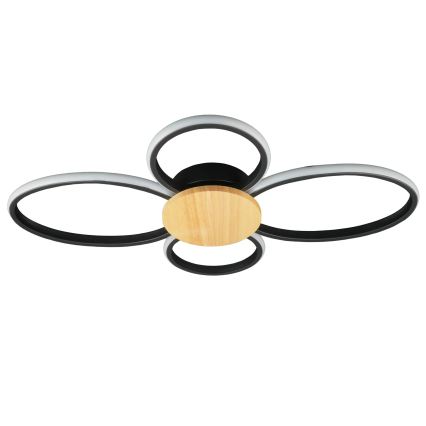 LED Stropní svítidlo SABINA LED/38W/230V kaučukovník