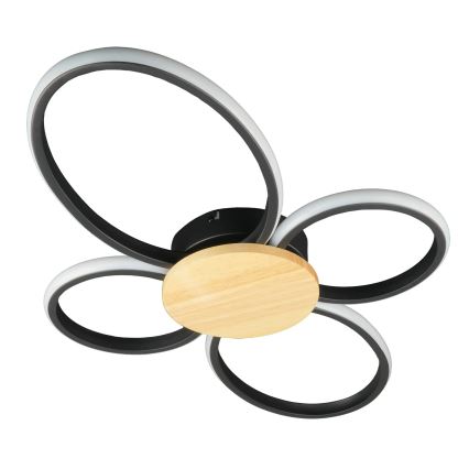 LED Stropní svítidlo SABINA LED/38W/230V kaučukovník