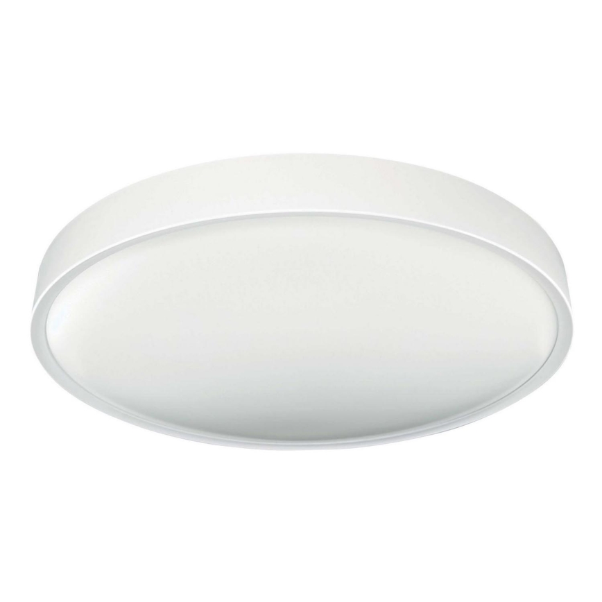 LED Stropní svítidlo SAMER LED/24W/230V 4000K