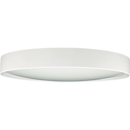 LED Stropní svítidlo SAMER LED/24W/230V 4000K