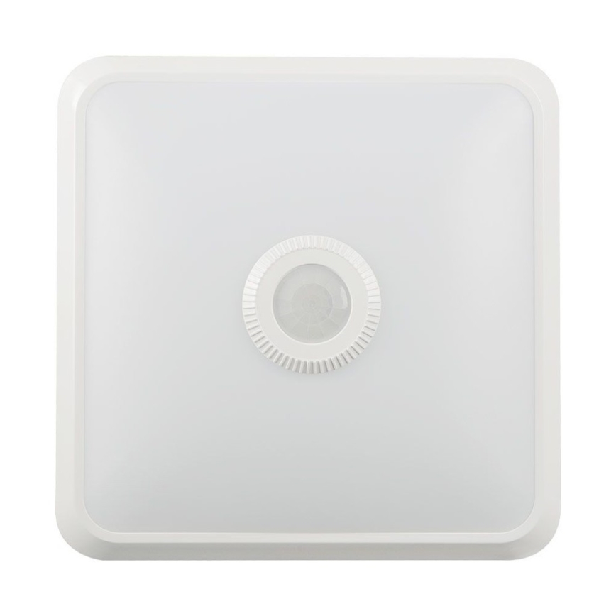 LED Stropní svítidlo se senzorem SAMSUNG CHIP LED/12W/230V 3000/4000/6000K 25x25 cm bílá