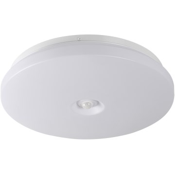 LED Stropní svítidlo se senzorem pohybu a soumraku FOGLER LED/24W/230V pr. 38 cm