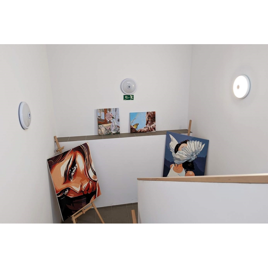 LED Stropní svítidlo se senzorem pohybu a soumraku LED/12W/230V pr. 29 cm bílá