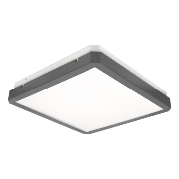 LED Stropní svítidlo se senzorem pohybu a soumraku RAVA LED/38W/230V 4000K 41x41 cm antracit