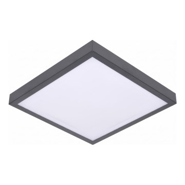 LED Stropní svítidlo se senzorem pohybu a soumraku VITALI LED/24W/230V 4000K 33x33 cm antracit