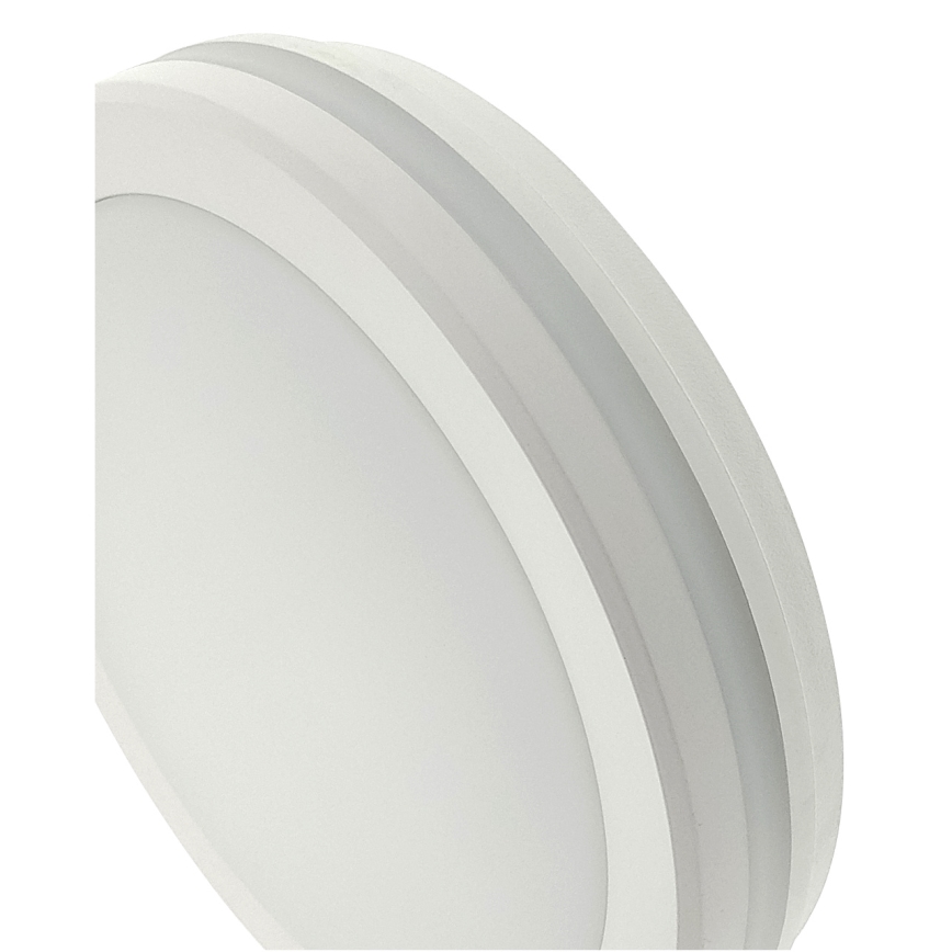LED Stropní svítidlo se senzorem pohybu LED/20W/230V 3000/4000/6500K pr. 230 cm IP54 šedá