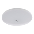 LED Stropní svítidlo se senzorem soumraku a pohybu MORETTI LED/24W/230V pr. 30 cm IP40 6500K