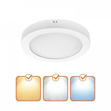 LED Stropní svítidlo SIGARO LED/24W/230V 3000/4000/6500K pr. 22 cm bílá