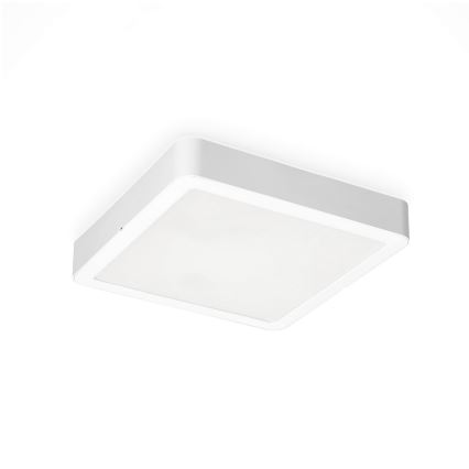 LED Stropní svítidlo SIGARO SQUARE LED/24W/230V 4000K IP40