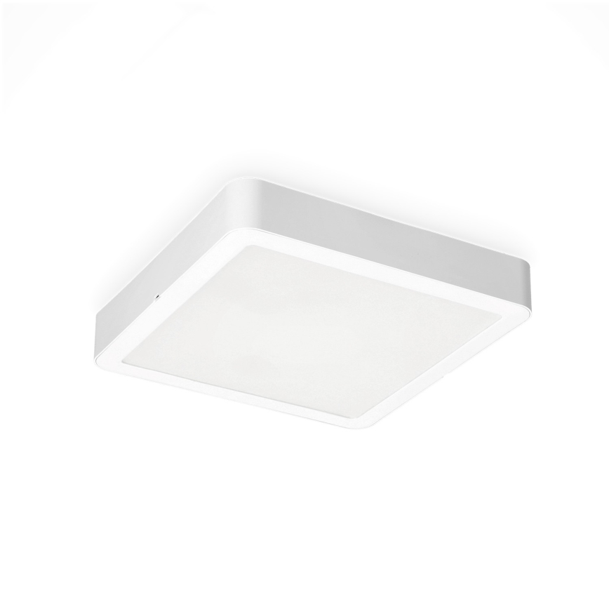 LED Stropní svítidlo SIGARO SQUARE LED/24W/230V 4000K IP40