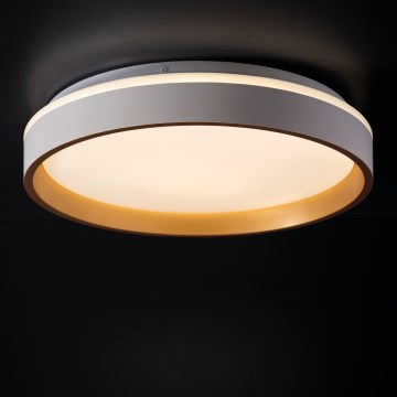 LED Stropní svítidlo SOLN LED/17,5W/230V pr. 38 cm bílá/zlatá