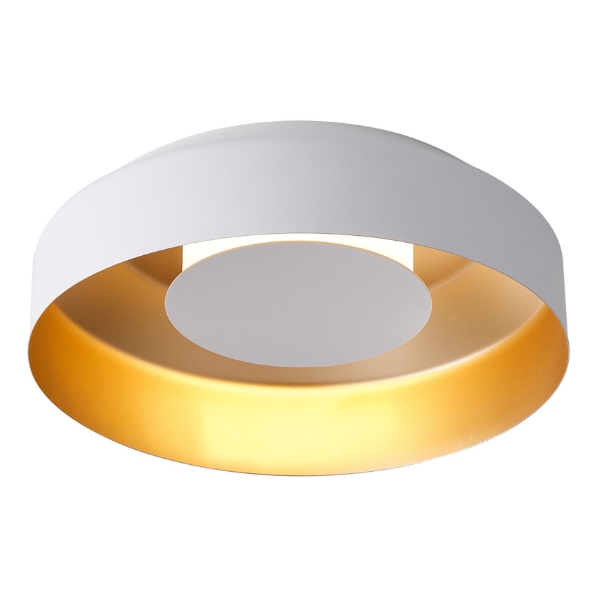 LED Stropní svítidlo STIGMA LED/20W/230V 3000K bílá