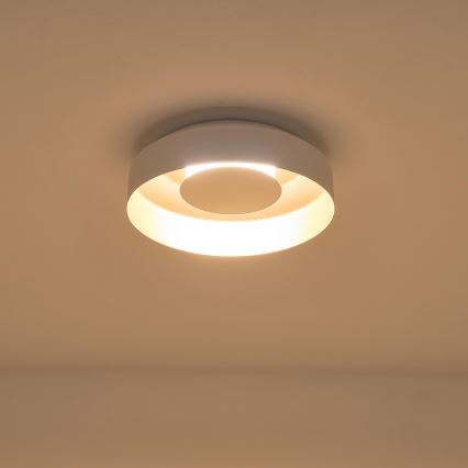 LED Stropní svítidlo STIGMA LED/20W/230V 3000K bílá