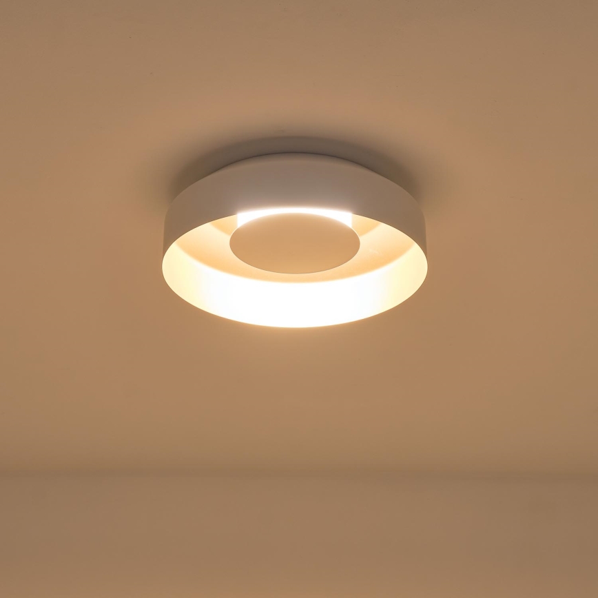 LED Stropní svítidlo STIGMA LED/20W/230V 3000K bílá