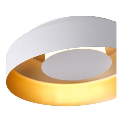 LED Stropní svítidlo STIGMA LED/20W/230V 3000K bílá