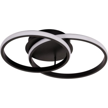 LED Stropní svítidlo TITANO LED/12W/230V černá