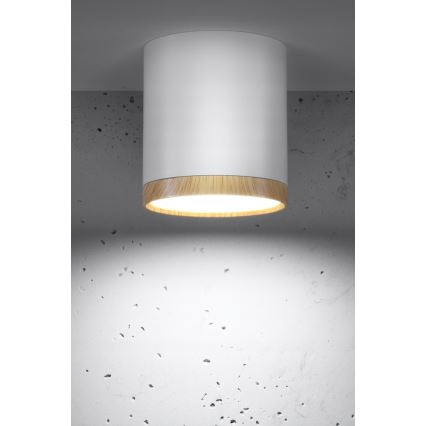 LED Stropní svítidlo TUBA LED/5W/230V bílá/béžová