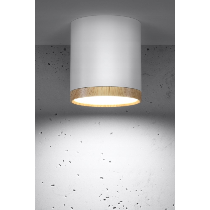 LED Stropní svítidlo TUBA LED/5W/230V bílá/béžová