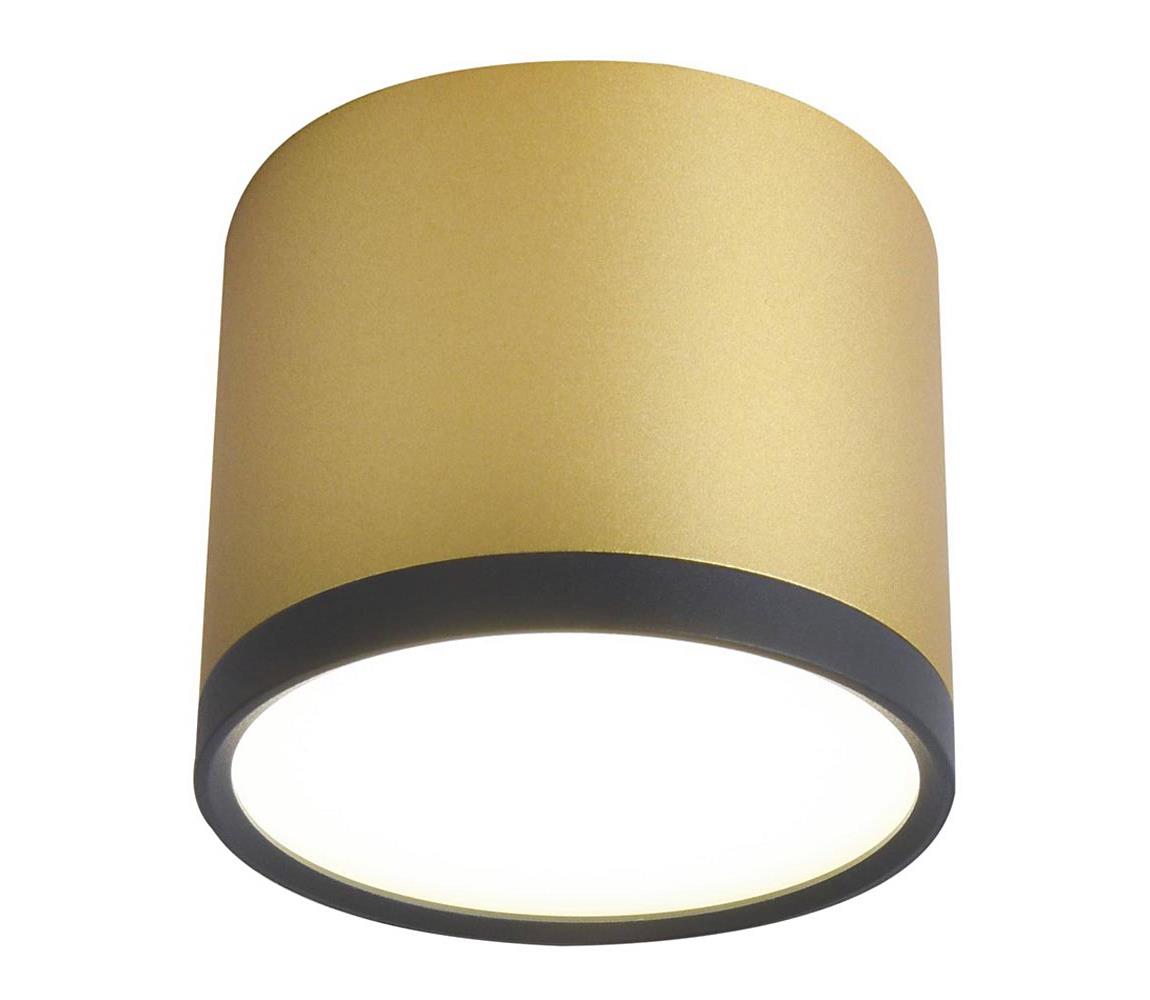 Candellux LED Stropní svítidlo TUBA LED/9W/230V CA0401