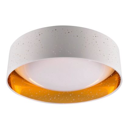 LED Stropní svítidlo TULUZA LED/24W/230V pr. 40 cm bílá