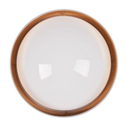 LED Stropní svítidlo TULUZA LED/24W/230V pr. 40 cm bílá