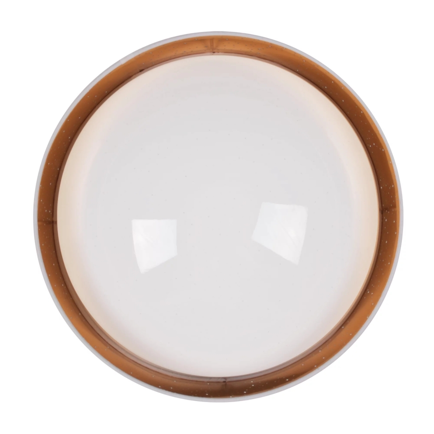 LED Stropní svítidlo TULUZA LED/24W/230V pr. 40 cm bílá