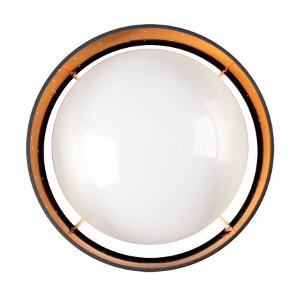 LED Stropní svítidlo TULUZA LED/24W/230V pr. 40 cm černá