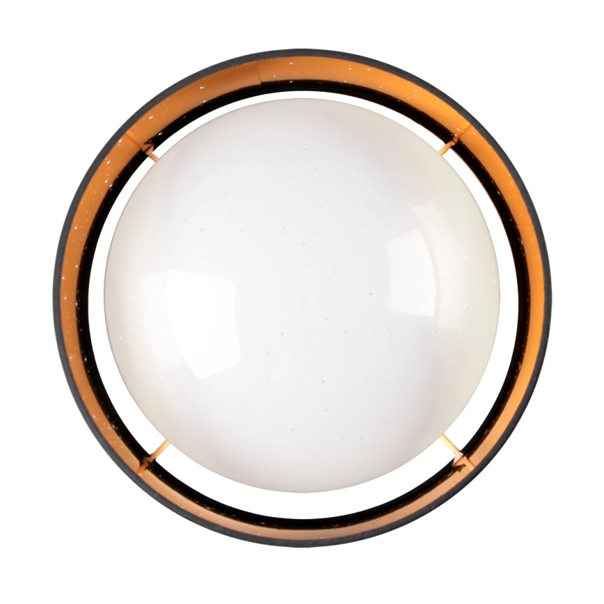 LED Stropní svítidlo TULUZA LED/24W/230V pr. 40 cm černá