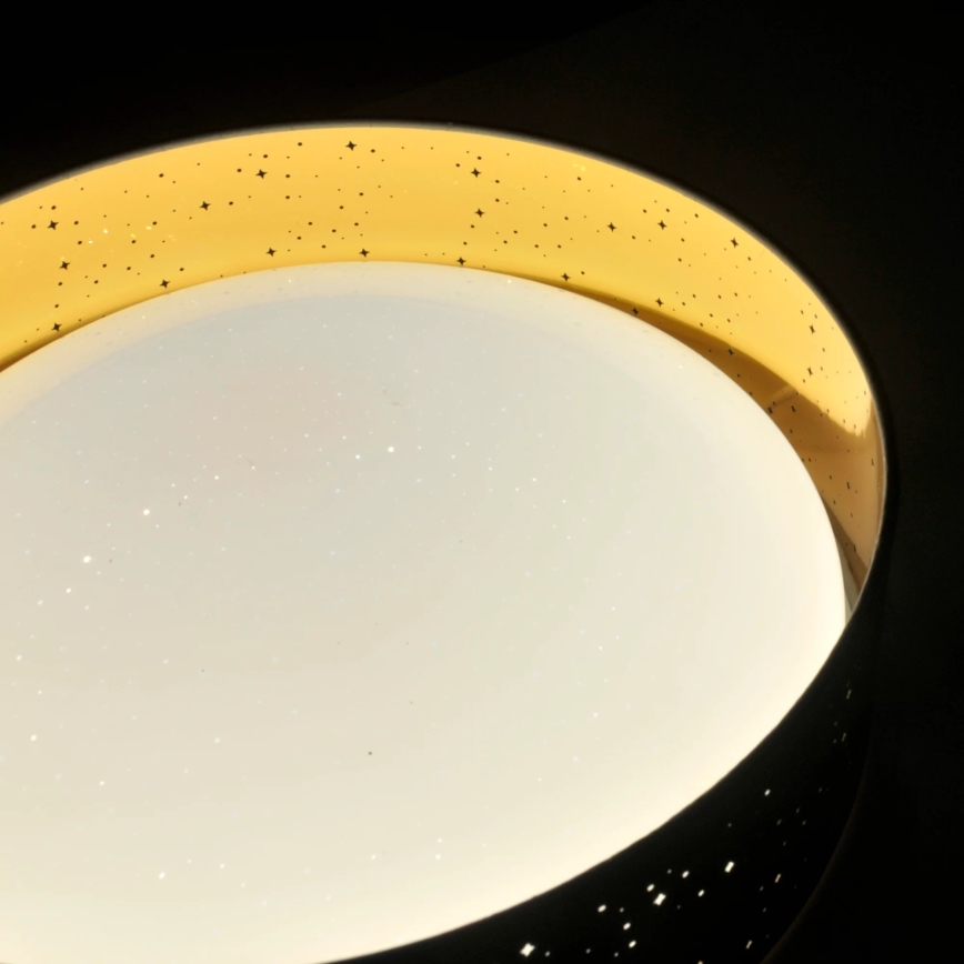 LED Stropní svítidlo TULUZA LED/24W/230V pr. 40 cm černá