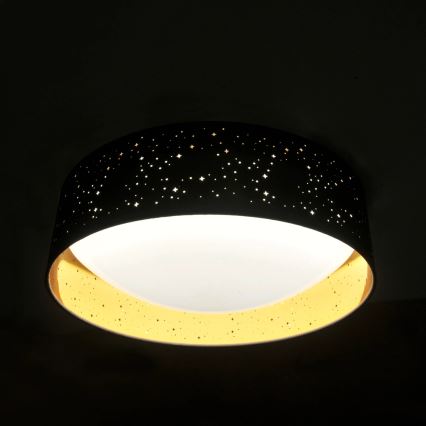LED Stropní svítidlo TULUZA LED/24W/230V pr. 40 cm černá