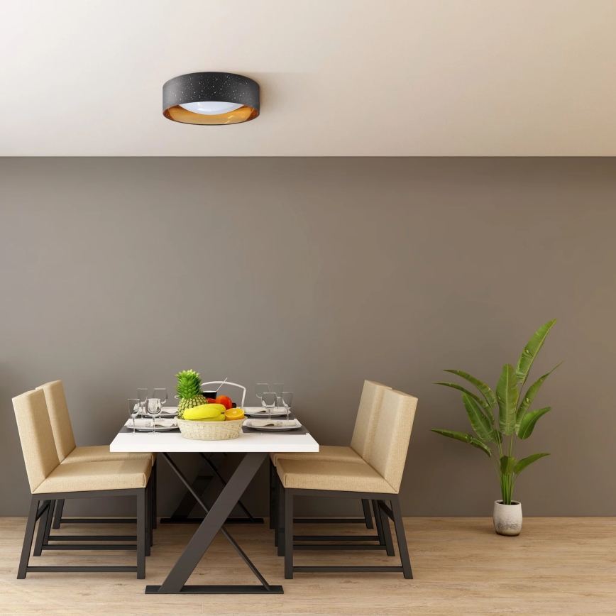 LED Stropní svítidlo TULUZA LED/24W/230V pr. 40 cm černá