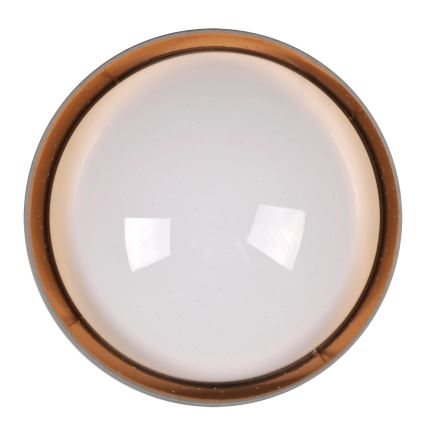 LED Stropní svítidlo TULUZA LED/24W/230V pr. 40 cm hnědá
