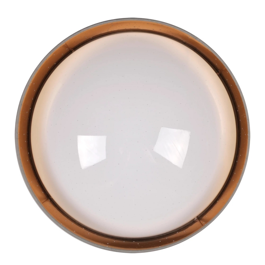 LED Stropní svítidlo TULUZA LED/24W/230V pr. 40 cm hnědá