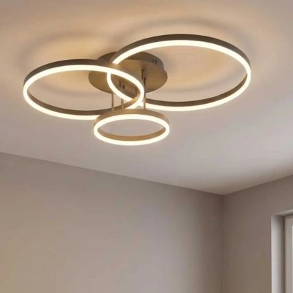 LED Stropní svítidlo VAASA LED/58W/230V 3000K černá