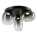 LED Stropní svítidlo VASO LED/12W/230V pr. 42 cm černá/kouřová