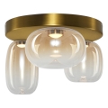LED Stropní svítidlo VASO LED/12W/230V pr. 42 cm zlatá/kouřová