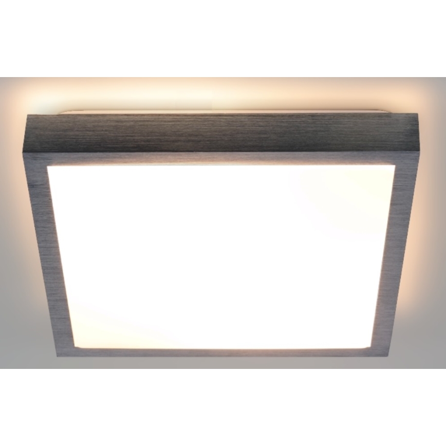 LED Stropní svítidlo VITAL LED/24W/230V matný chrom