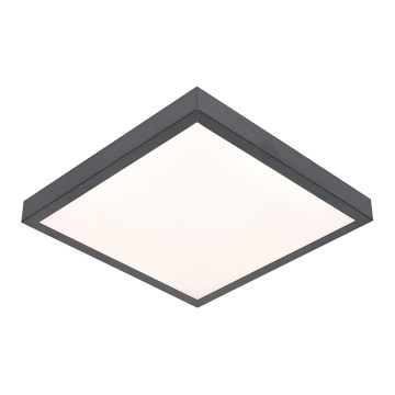 LED Stropní svítidlo VITALI LED/24W/230V